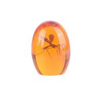 Realistic flat bottomed paper weight 3D mosquito amber series paper weight suitable for home desktop decoration, unique design, balta