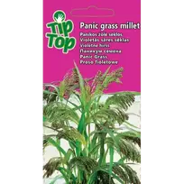 TIP TOP Panikos žolė Panic grass millet 0.1g