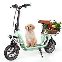 Electric Scooter with Seat i12 Green 500W 42V7.5Ah Range 30-35km 12  Tire Double Shock Absorption - iScooter