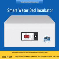 Luding Fully Automatic Smart Chick Incubator for Home Use 15 Egg Foam Water Bed Incubator Single Power gray