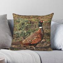 Fazanas Angliškas Kaimas Kvadratinė Pagalvės Užvalkalas Poliesteris Linas Aksomas Spausdintas Užtrauktukas Dekoracija Namų Pagalvės Užvalkalas 45x45 30X30CM black