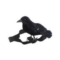Helovino Simuliacija Juoda Varna Su Elastinga Juosta Ant Peties Varnos Papuošalai Cosplay Kostiumo Rekvizitai Šventės Vakarėlio Dekoracija black