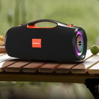 Newman BT100 Outdoor Karaoke Bluetooth Speaker CN plug (adapter included)