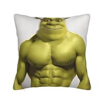 Decorative Pillowcases Funny Shreks Meme Merch Home  Throw Pillow Case Cover Zipper Multi Size 30X30CM yellow