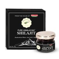 Baidyanath Ayurvedant Pure Himalayan Shilajit Resin 20g Certified for Stamina Boost and Energy Support