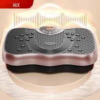 AUX Vibration Plate Exerciser CN plug (adapter included)