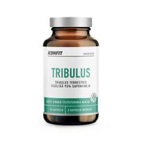 ICONFIT Tribulus, 500 mg, 90 caps (4744130013986)