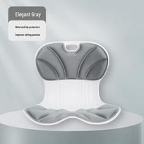 Ergonomic Office Lumbar Support Cushion CN plug (adapter included)