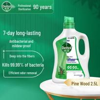 Dettol Multi-Action Laundry Sanitizer blue