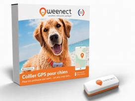 Weenect XS White Mini GPS sekiklis mažiems šunims (be antkaklio) | 114021 | 3770000300390