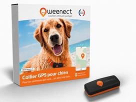 Weenect XS juodas Mini GPS sekiklis mažiems šunims (be antkaklio) | 114020 | 3770000300413