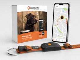 Weenect XT Orange GPS sekiklis šunims (su antkakliu) | 114023 | 3770000300789