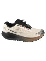 SALOMON Vyriški bėgimo batai, AERO BLAZE 4 GRVL GTX L45403200