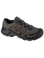 SALOMON Vyriški laisvalaikio batai, X-ADVENTURE RECON GTX L47809200