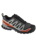 SALOMON Vyriški laisvalaikio batai, XA PRO 3D V9 GTX L47817500