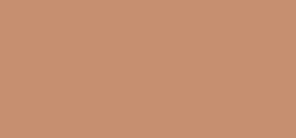 Bobbi Brown bronzos pudra, 10 g
