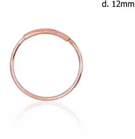 Diamond Sky Jewelry Auksinis nosies auskaras „Rondo II“