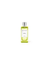 Angel Schlesser Les Eaux D'un Instant Ginger Cologne (EDT) Eau de Toilette unisex 100 ml