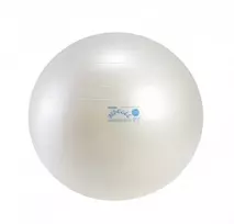 Fit Ball kamuolys 65