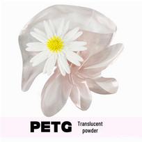 Transparent PETG 3D Printer Filament for Beginners - 1K Spool with Neat Winding, Compatible with Creality Auto-Identification skaidri rausva spalva