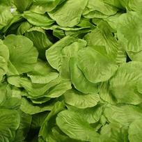 100 vnt. 20 stilių dirbtinių rožių žiedlapių spalvingi vestuviniai romantiški šilkiniai rožių žiedai jubiliejui 100pcs green