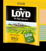 Juodosios arbatos gėrimas LOYD HORECA line, BLTLOY5900396020833