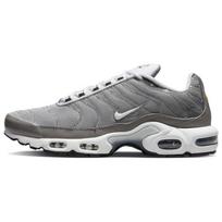 Nike Air Max Plus Flat Pewter DV7665-002 40.5 gray
