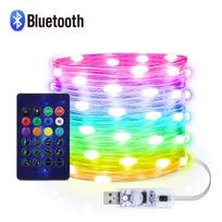 USB Bluetooth APP Valdymas „Pasidaryk pats“ LED juosta vielos šviesa RGBIC Dreamcolor 5M/10M Vandeniui atspari Kalėdų pasakų romantiška girlianda dovana 5m multi