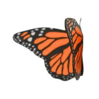 3D Spausdintas Drugelis Šaldytuvo Magnetukas Pasidaryk Pats Namų Virtuvės Spintelė Šaldytuvas Monarchas Tigrinis Uodeguotis Mėlynasis Drugelis Magnetinis Dekoravimo Ornamentas A black