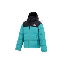 THE NORTH FACE 1996 Retro Nuptse striukė vyriška NF0A3C8D-ZCV M black