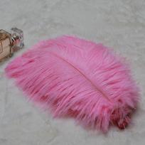 10 vnt. stručio plunksnų Baltos plunksnos Vestuvių dekoracijos Karnavalo rankdarbiai „Pasidaryk pats“ plunksnos namų dekoravimui 10pcs 15-20cm rožinė