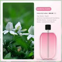 Įkraunamas aromatinis oro difuzorius, 5 pavarų reguliavimas, automatinis kvapo oro valytuvas, namams Gardenia scent *1