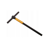 Raktas T HEX 14mm su suktuku