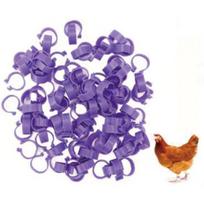 Reguliuojami 1,6 mm paukščių kojų žiedai - Spalvų variantai vištoms, antims ir žąsims Blue Foot Ring purple