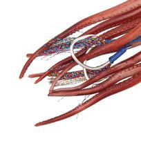 Soft Fishing Squid Bait TPE Fishing Octopus Lure Durable Squid Jig Bait  Saltwater Ocean Fishing raudona