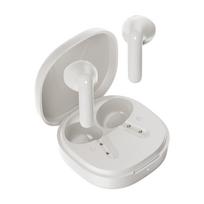 T41 White