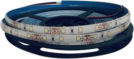 Orno LED juosta 12V, 2835, 60L/m, 430lm/m, 4,8W/m, IP63, 4000K, 5m