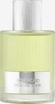 Tom Ford Beau de Jour EDP 100 ml vyriški kvepalai