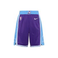 Nike Nba Swingman Los Angeles Lakers City Edition Dri Fit Shorts DB4138-504 M gray
