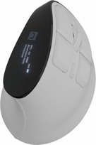Natec Mouse | Euphonie Pro | Wireless | 2.4 GHz, Bluetooth | White NMY-2378 | 5901969449969