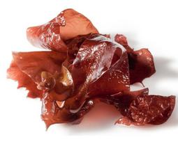 Ekologiškos džiovintos jūros daržovės Dulse, 50 g