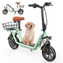 iScooter Electric Scooter With Adult Seat 120kg Green 12  Front and Rear Double Shock Absorbers 500W Range 35km 42V7.5Ah