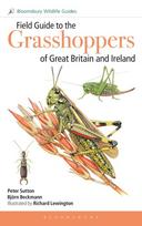 Field Guide to the Grasshoppers and Allies of Great Britain and Ireland: Grasshoppers, Crickets, Earwigs, Cockroaches, Mantids and Stick-insects