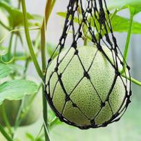 Watermelon Hammock For Trellis 10-Piece Fruit Sling Watermelon Bags For Garden Heavy-Duty Fruit Support Netting For Harvest China Mainland black