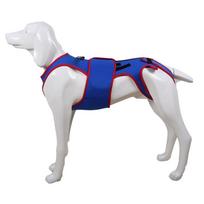 Adjustable Dog Back Brace Thickened Breathable Pet Support Harness Back Protector Comfortable Dog Soothing Clothes (Blue,S) mėlyna