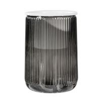 Self Watering Plant Pot Clear Plastic Flower Pot with Wick Ropes Water Reservoir Vertical Stripes Design Modern Indoor Planter for Pothos Anthurium gray