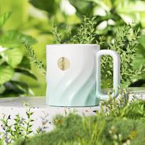 Starbucks Clear Mint Green Badge Ceramic Mug white