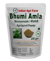 Iagrifarm Organic Bhumi Amla Powder - Bhumyamalaki Keelanelli Nela Usiri Powder | 250gm 0.5lbs