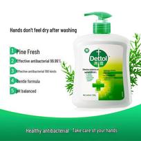 Dettol Classic Pine Antibacterial Hand Soap Refill green