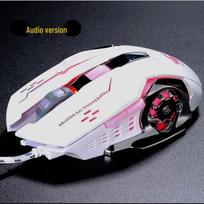 Ziyoulang V5 Wireless Gaming Mouse